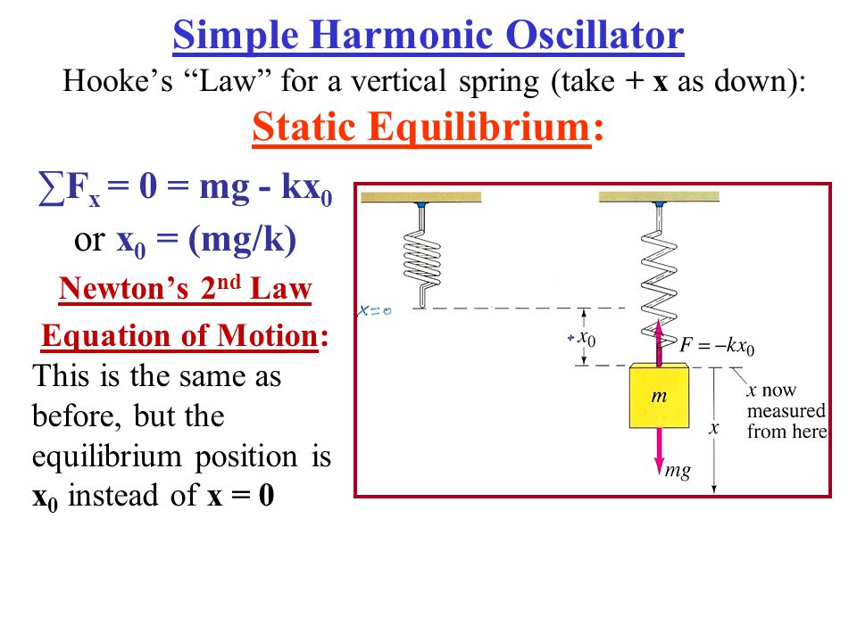 Hooke’s Law and Simple Harmonic Motion